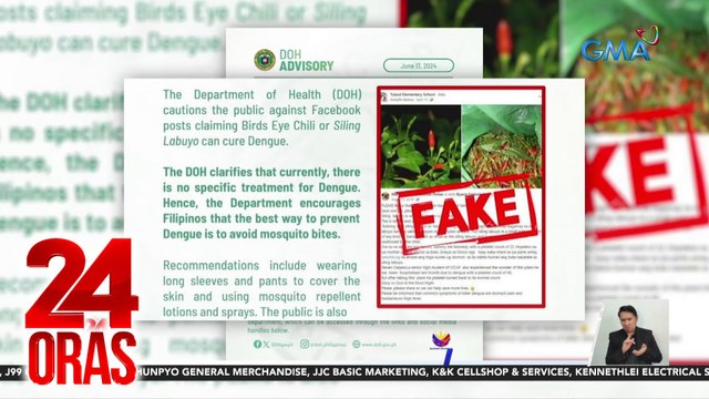 DOH - Hindi gamot sa Dengue ang siling labuyo, bayabas, at tawa-tawa | 24 Oras