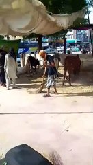 VID-20240616-WA0018