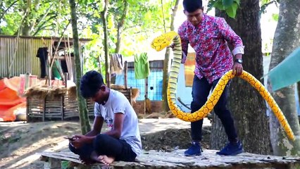 Update Viral King Cobra Snake PrankBest of Fake Snake Prank Video on Public - By ComicaL TV