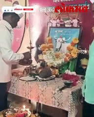 शर्यती गाजवणारा कुंडल देवाघरी गेला, मालकाने विधिवत अंत्यसंस्कार करून गावजेवण घातले