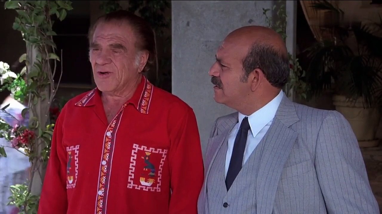 Hart aber herzlich S03E02-Picknick in Acapulco