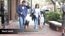 Elite Protection Dogs The Final Security for Family and Home