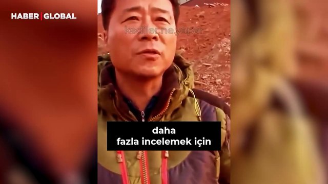 Her gün eldiven çalan kediyi takip edince gerçeği öğrendi, o anlar izlenme rekoru kırdı