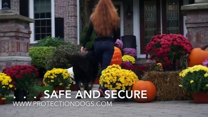 True Security The Peace of Mind Provided by CPI Protection Dogs
