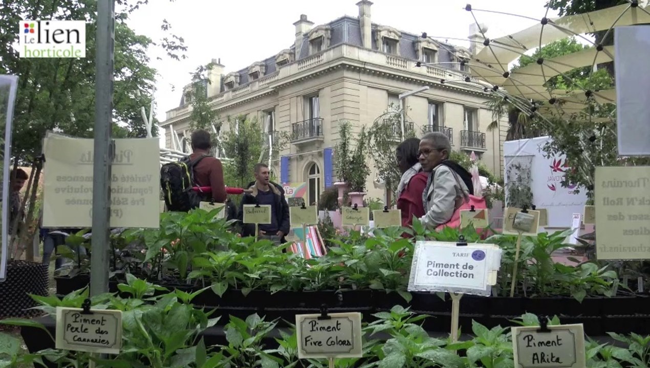 Jardins, Jardin au Parc de la Villa Windsor