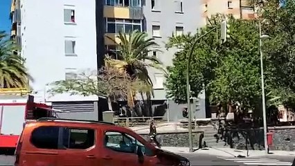 Un incendio en una palmera amenaza con colarse por la ventana de un piso en Los Gladiolos (Santa Cruz de Tenerife)