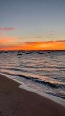 SUBLIME SUNSET dans le bassin d’Arcachon