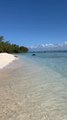 LES PLUS SAUVAGES coins de l’île Maurice : Ile plate et Ilot Gabriel