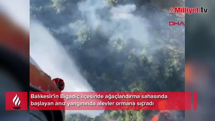Balıkesir'de orman yangını! Müdahale sürüyor
