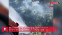 Balıkesir'de orman yangını! Müdahale sürüyor