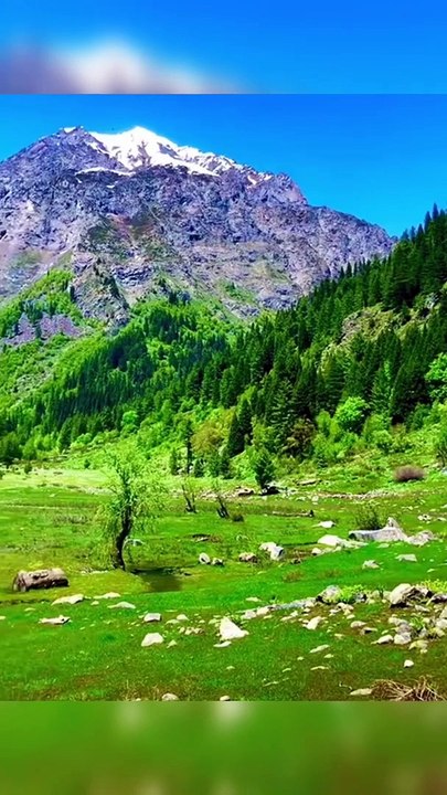 Swat New Beautiful Vibes #swat #beautiful #beautifulplaces #vibes #kpk #pakistan #pakistantravelvlog
