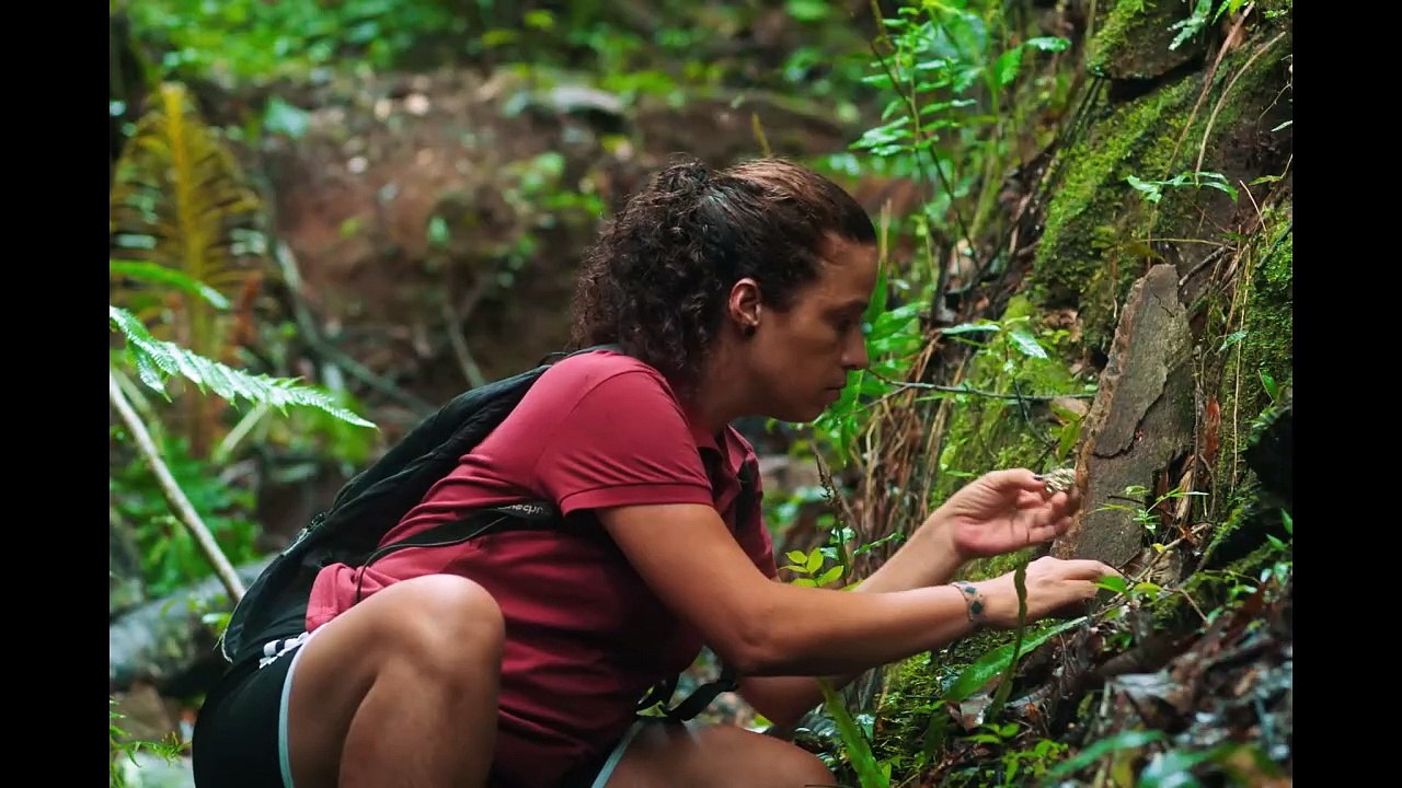 O Estranho Trailer Oficial