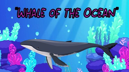 "Whale of the Ocean" |fish sonng|life under water|toddler learning video|nursery rhyme|super simple