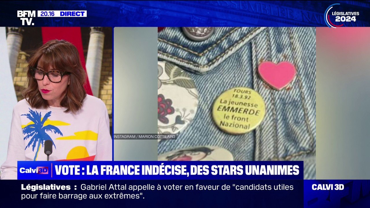 Marion Cotillard, Squeezie... Ces personnalités qui se sont exprimées sur les législatives