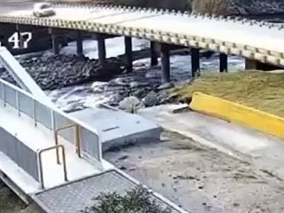 Un auto cayo desde un puente y la conductora conto que su perro .mp4