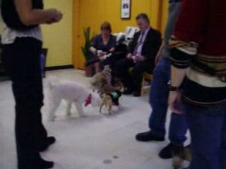 Beaucoup de petits  monde au local .sdc