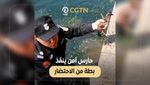 حارس أمن ينقذ بطة من الاحتضار