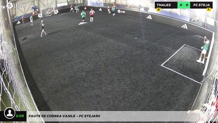 Faute de Codrea Vasile  - FC STEJARII