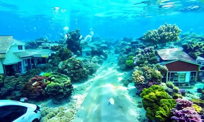 Vídeo 3 generado con Gen3 Alpha de Runway