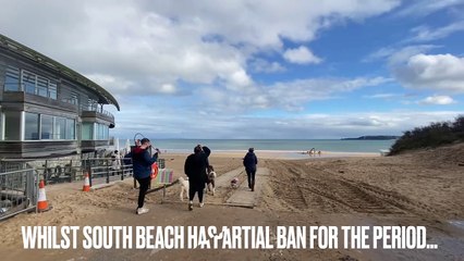 Dog owners fined for bylaw breaches on Pembrokeshire beaches