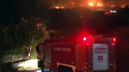 İstanbul Sarıyer'de otluk alanda yangın!