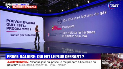 Législatives: que proposent les différents programmes pour le pouvoir d'achat?