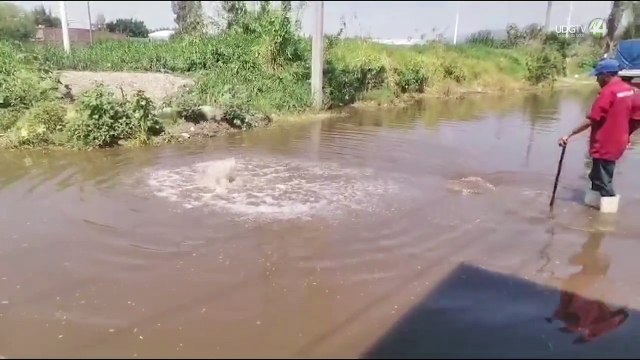 Inundaciones afectan colonias aledañas al Río Zula tras intensas lluvias