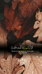 quranic ayat