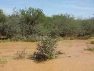 De Perth à Broome Part 4