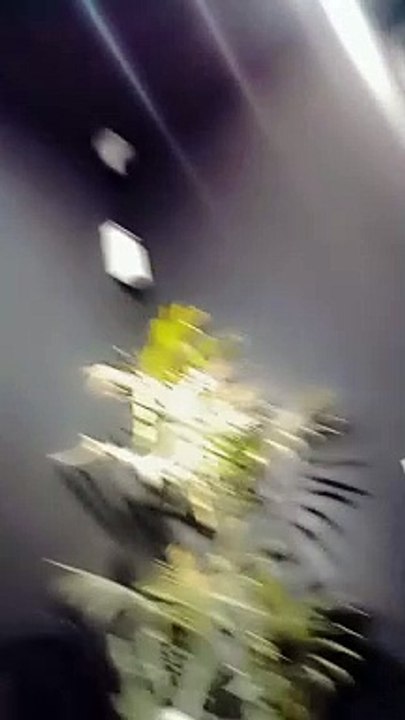 #1000veiw#dailymotion