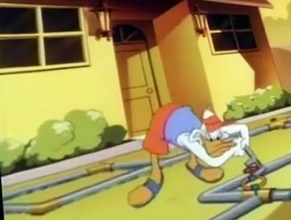 Darkwing Duck Darkwing Duck S01 E036 Dry Hard