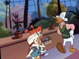 Darkwing Duck Darkwing Duck S01 E045 The Incredible Bulk