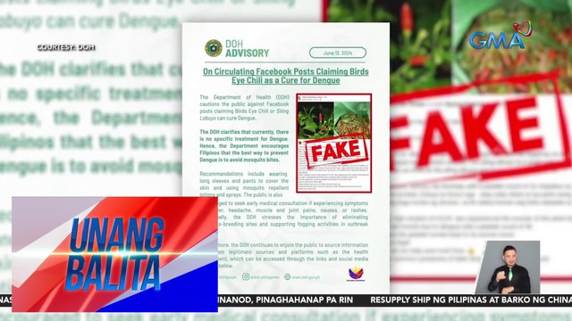 DOH – Hindi gamot sa dengue ang tawa-tawa, bayabas, at siling labuyo | Unang Balita
