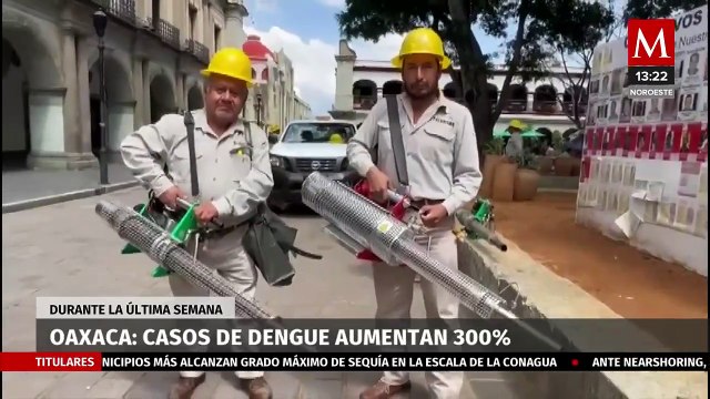 Alerta roja en Oaxaca por aumento de 300% en contagios por dengue
