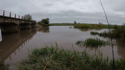 Días de PESCA en Busca del Pique | Aventura por Ríos | Campo y Mucha Naturaleza
