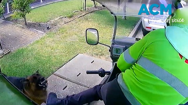 Alarming number of posties attacked by dogs