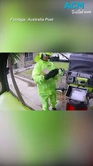 Alarming number of posties attacked by dogs