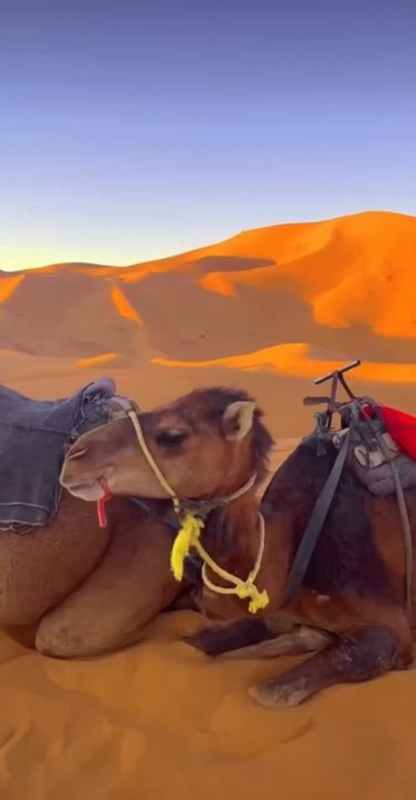 Marruecos #sahara