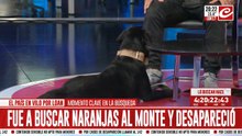 Búsqueda de Loan: habla un adiestrador de perros