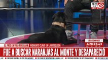 Búsqueda de Loan: habla un adiestrador de perros