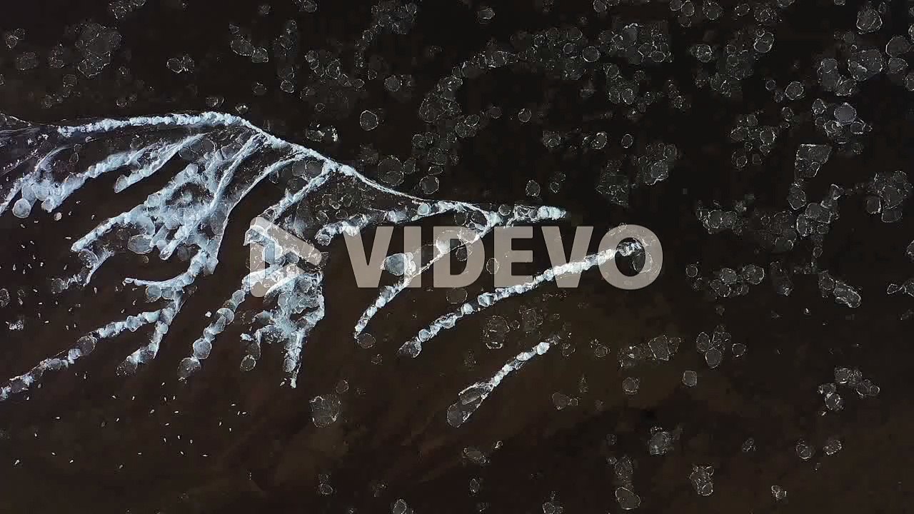 Drone aerial view of birds and ice floes in Neris river