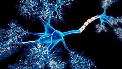 Google DeepMind AI BRAIN Unlocks Secrets of Real Brains!