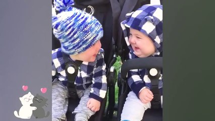 Funny Twin And Triplet Will Make You Laugh