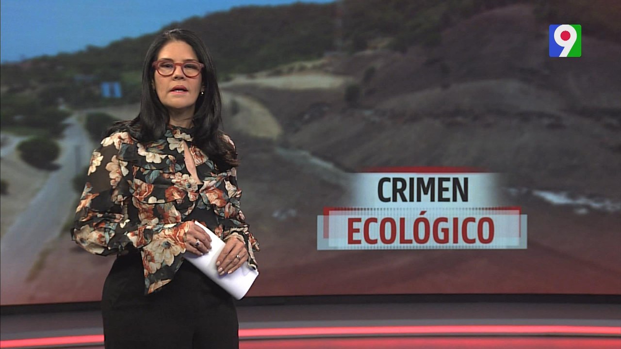 Crimen ecológico | El Informe con Alicia Ortega