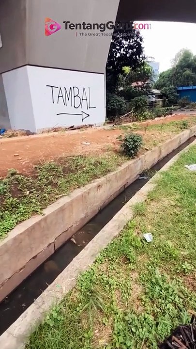 VIRAL BANYAK RANJAU PAKU DI JALAN CIPINANG