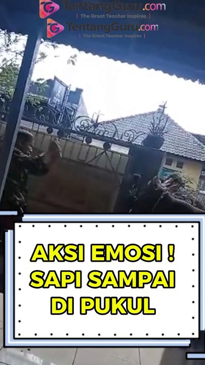 EMOSI! SALI SAMPAI DI PUKUL SAAT MAU DI SEMBELIH