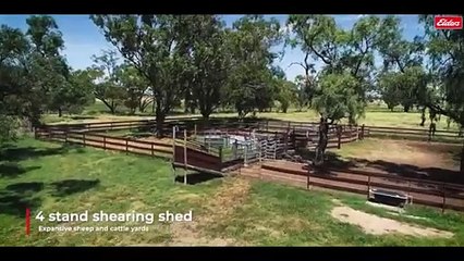 Merriwee, Coonamble, NSW | June 18, 2024 | Farmonline