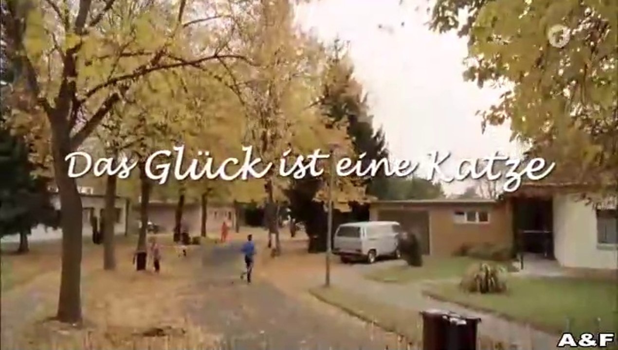 Das Glück ist eine Katze