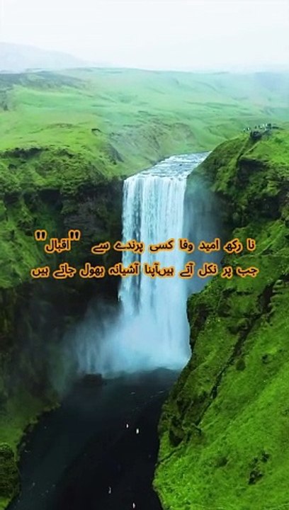 Iqbal shari , Beautiful ❤️