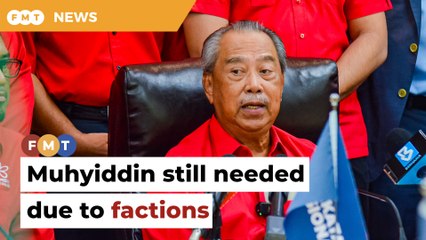 Muhyiddin still needed at the helm due to factions, says Bersatu leader